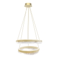 LED Lestenec na vrvici LED/85W/230V pr. 60 cm zlata