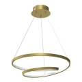 LED Lestenec na vrvici LUCERO LED/48W/230V zlata