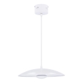 LED Lestenec na vrvici LUND LED/10W/230V bel