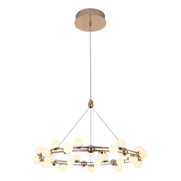 LED lestenec na vrvici MARS LED/50W/230V 3000K v zlati barvi