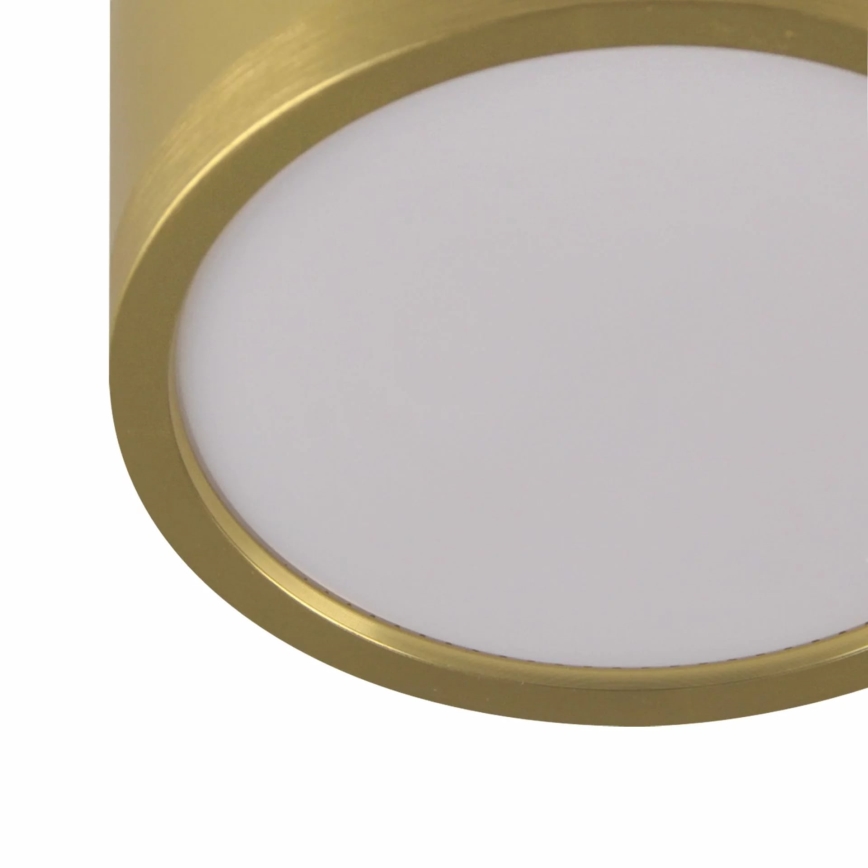 LED Lestenec na vrvici MIRELLA 3xGX53/6W/230V zlata/črna