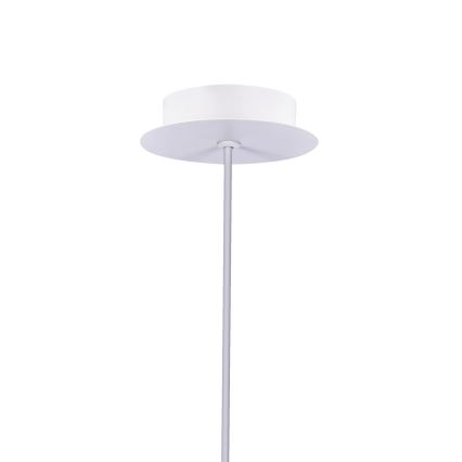 LED Lestenec na vrvici MODENA LED/5W/230V