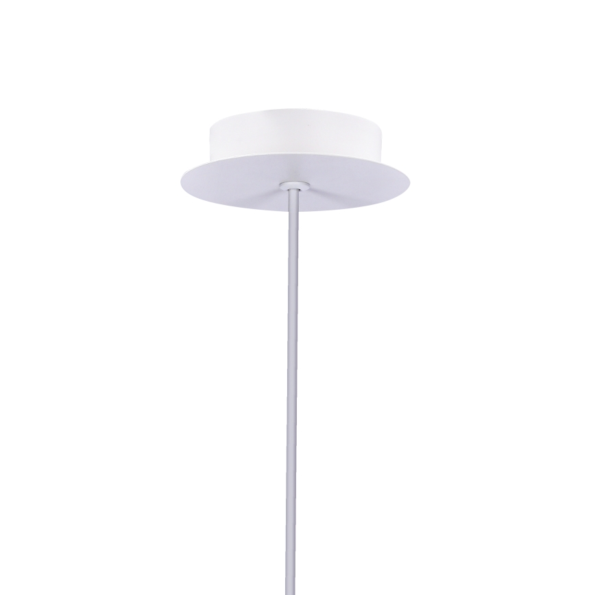 LED Lestenec na vrvici MODENA LED/5W/230V