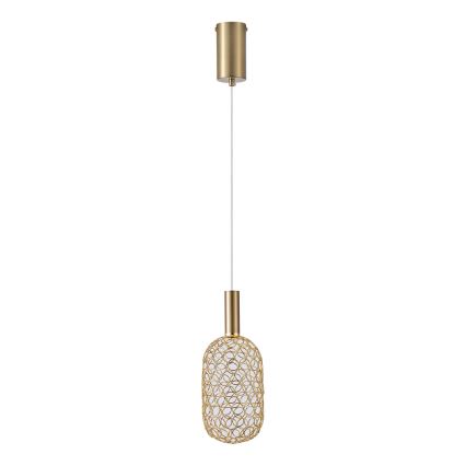 LED Lestenec na vrvici PERFORATO LED/6,3W/230V 3000K zlata pr. 13 cm
