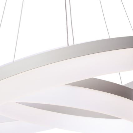 LED Lestenec na vrvici RING z daljinskim upravljalnikom LED/60W/230V