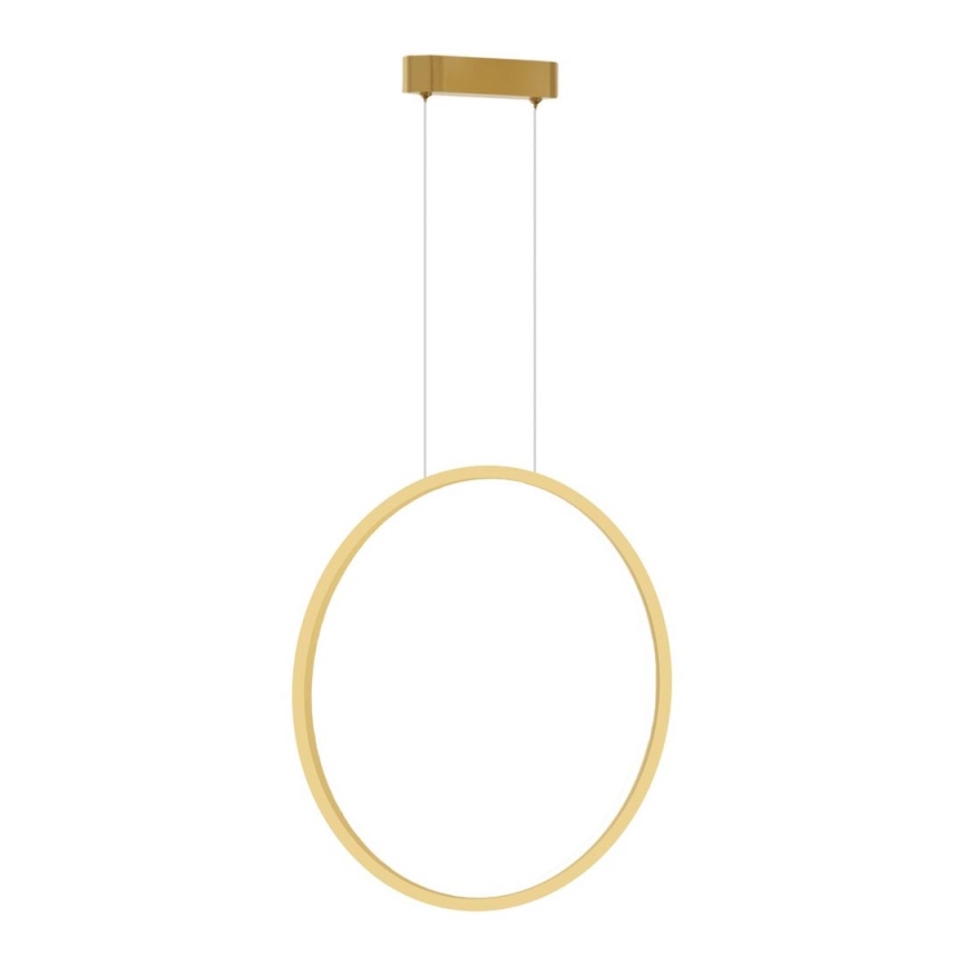 LED Lestenec na vrvici SATURNO LED/28W/230V pr. 50 cm IP44 zlata
