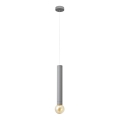 LED Lestenec na vrvici TUBA 1xGU10/20W/230V siv