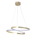 LED lestenec na vrvici ZEFIRA LED/40W/230V 4000K premer 50 cm, zlate barve