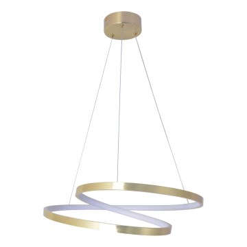 LED lestenec na vrvici ZEFIRA LED/40W/230V 4000K premer 50 cm, zlate barve