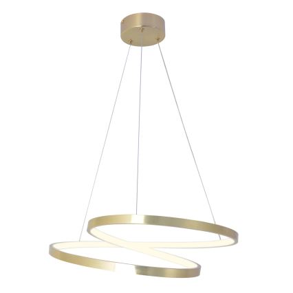 LED lestenec na vrvici ZEFIRA LED/40W/230V 4000K premer 50 cm, zlate barve