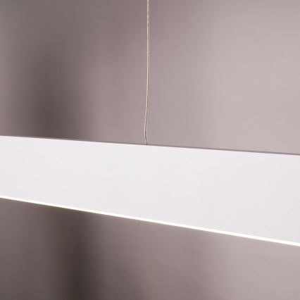 LED lestenec na žici BERNADETTA LED/20W/230V 4000K bela