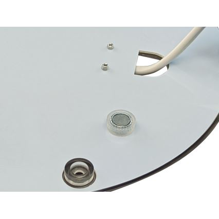 LED Magnetni modul LED/24W/230V pr. 18 cm 3000K