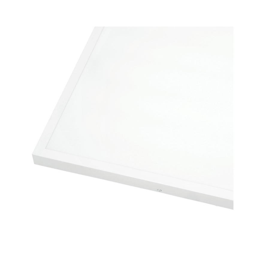 LED Nadgradni panel BRISBANE LED/36W/230V 4000K 59,5x59,5 cm bela