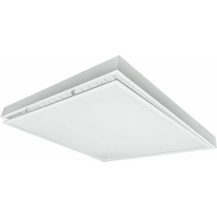 LED Nadgradni panel ILLY LED/36W/230V