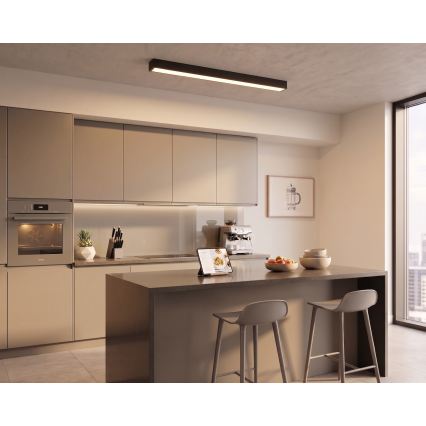 LED nadometno svetilo/lestenec na kablu LED/44W/230V 3000K 120 cm črna