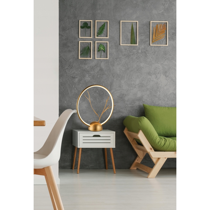 LED Namizna svetilka DAVOS LED/11,5W/230V