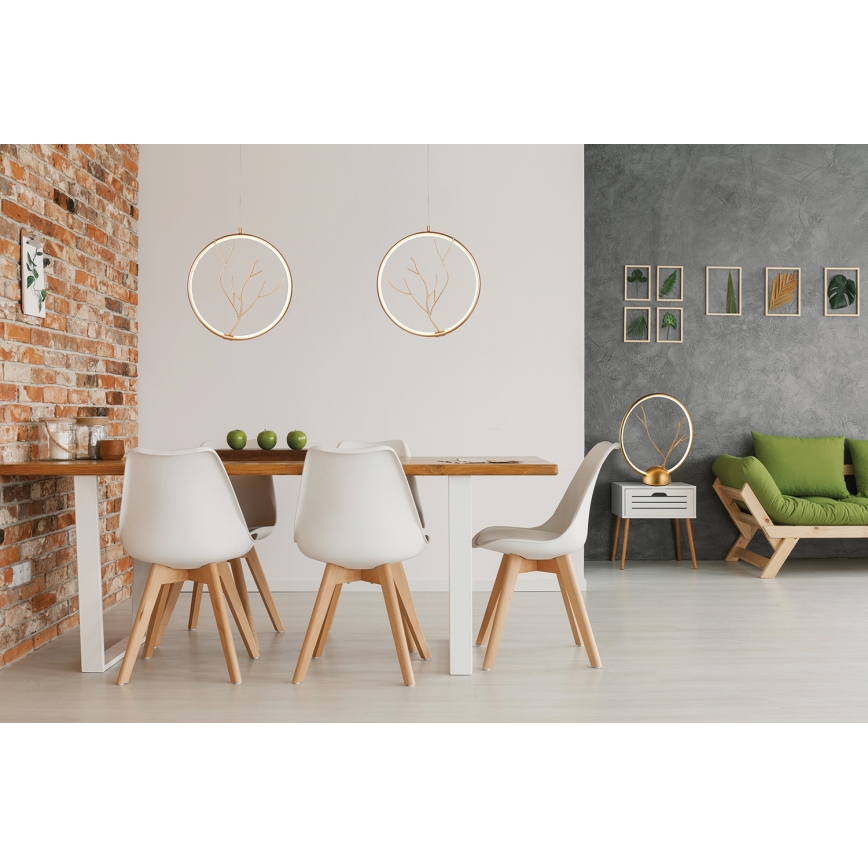 LED Namizna svetilka DAVOS LED/11,5W/230V