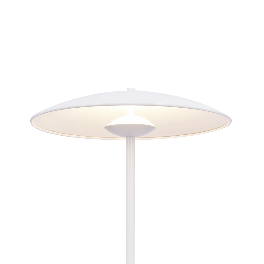 LED Namizna svetilka LUND LED/10,5W/230V bela