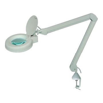 LED Namizna svetilka z lupo LED/5W/230V 6000K bela