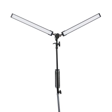 LED Namizna svetilka z zaponko 2xLED/10W/230V 2800-6800K