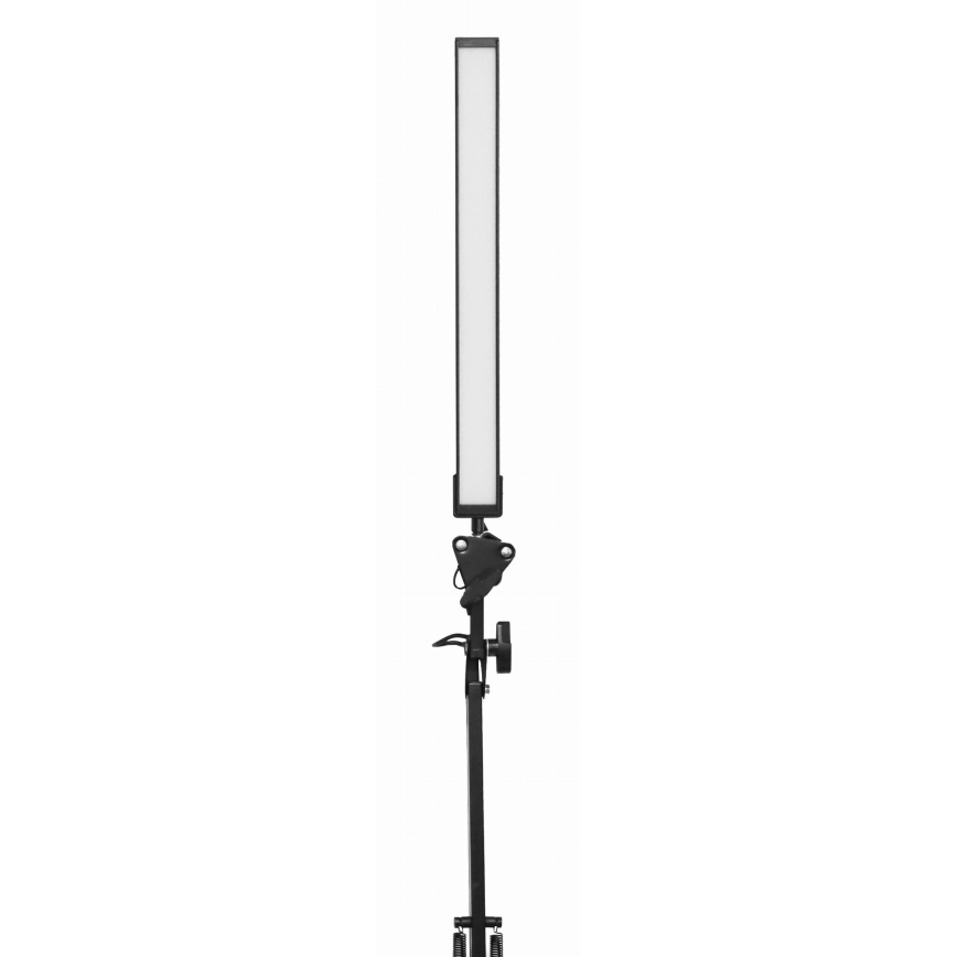 LED Namizna svetilka z zaponko LED/10W/230V 2800-6800K