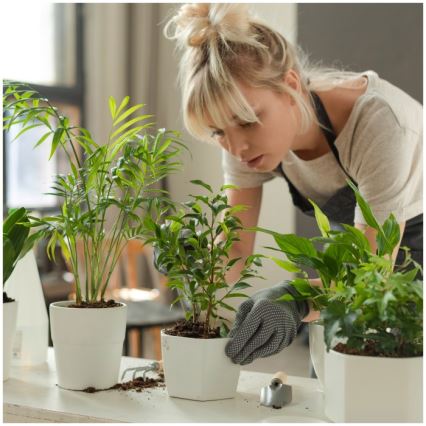 LED zatemnjevalna namizna svetilka za gojenje rastlin VERDI LED/5W/5V 1300K CRI 95 bela