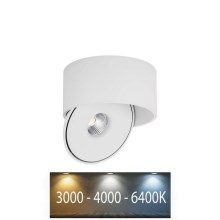 LED Nastavljiv reflektor LED/20W/230V 3000/4000/6400K CRI 90 bela
