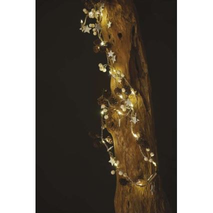 LED niz 20xLED/2xAA 2m