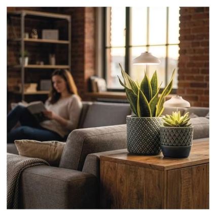 LED notranja svetilka za gojenje rastlin GROW LED/5W/5V