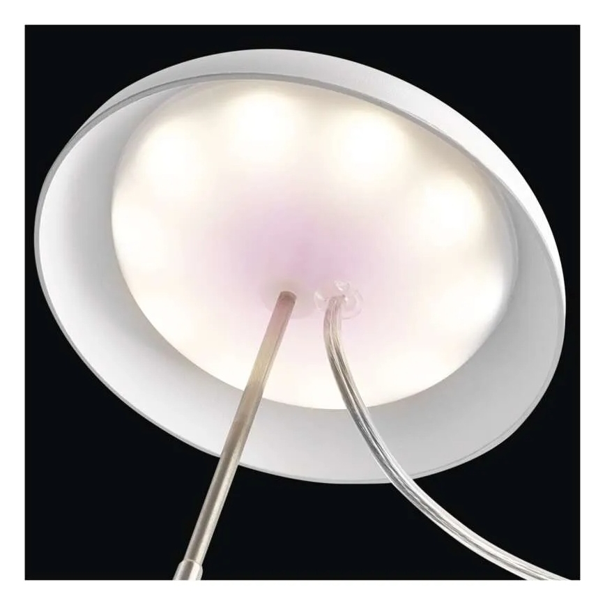 LED notranja svetilka za gojenje rastlin GROW LED/5W/5V