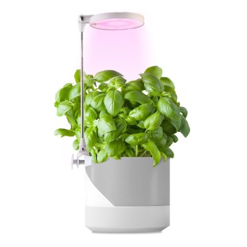 LED Notranja svetilka za rastline LED/10W/5V 3200K