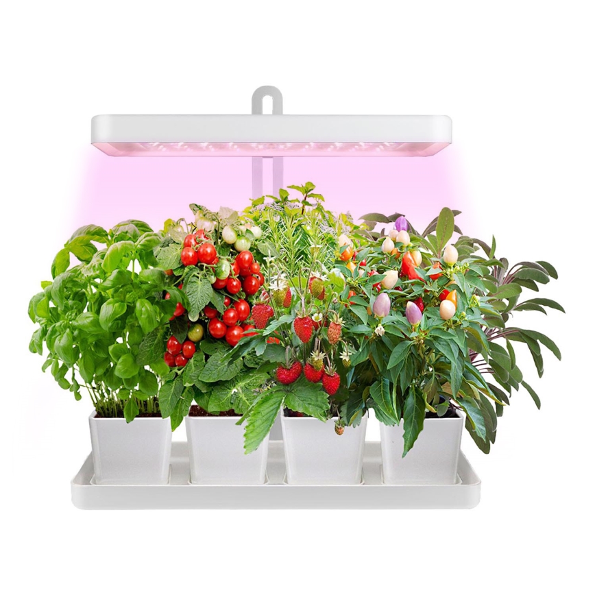 LED Notranja svetilka za rastline LED/20W/5V 3500K