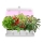 LED Notranja svetilka za rastline LED/20W/5V 3500K