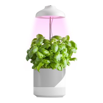 LED Notranja svetilka za rastline LED/5W/5V 3200K