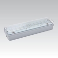 LED nujno svetilo CARLA LED/5,51W/230V 1h/900 mAh IP65