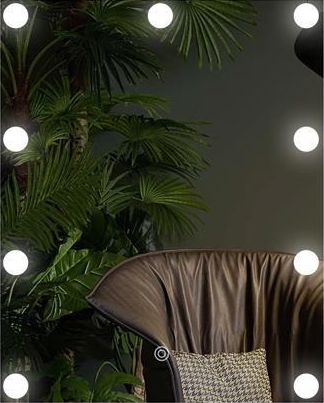LED Ogledalo z osvetlitvijo 9xLED/1W/230V 3000/4000/6000K 50x40 cm IP44