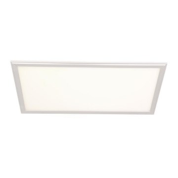 LED Panel LED/24W/230V 4000K