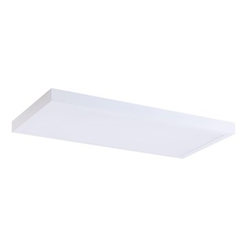 LED Panel LED/36W/230V 4000K 30x60 cm bela