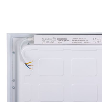 LED Panel LED/36W/230V 4000K 30x60 cm bela