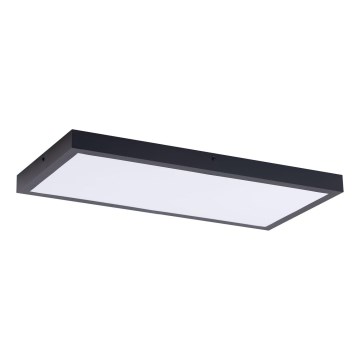 LED Panel LED/36W/230V 4000K 30x60 cm črna