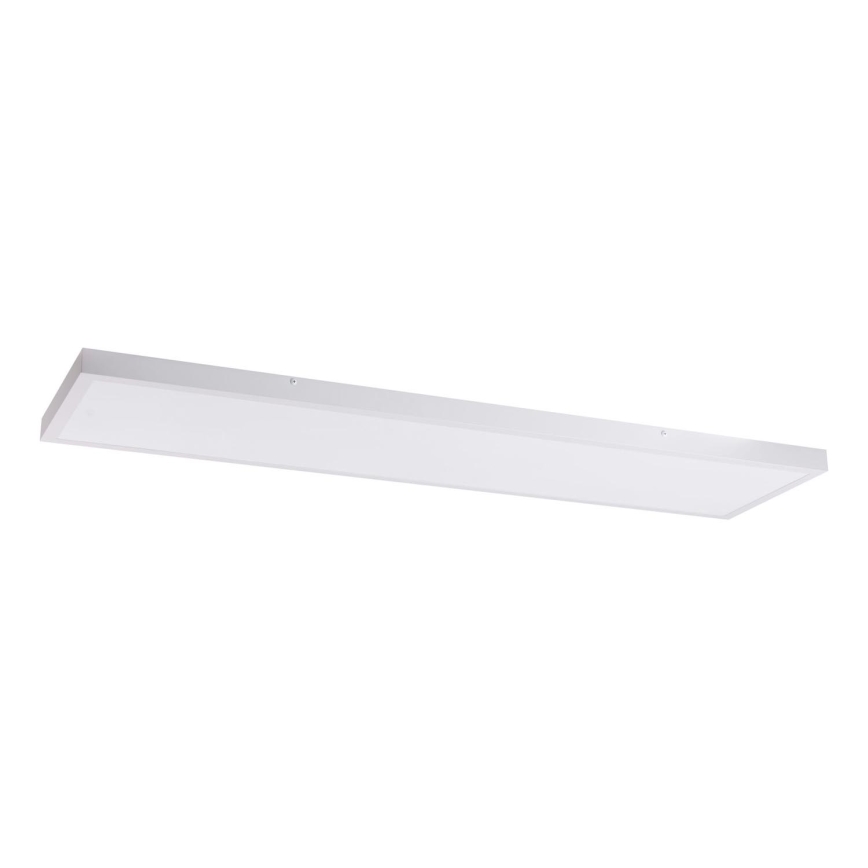 LED Panel LED/60W/230V 4000K 30x120 cm bela