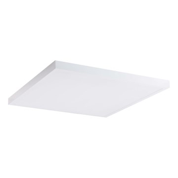 LED Panel LED/60W/230V 4000K 60x60 cm bela