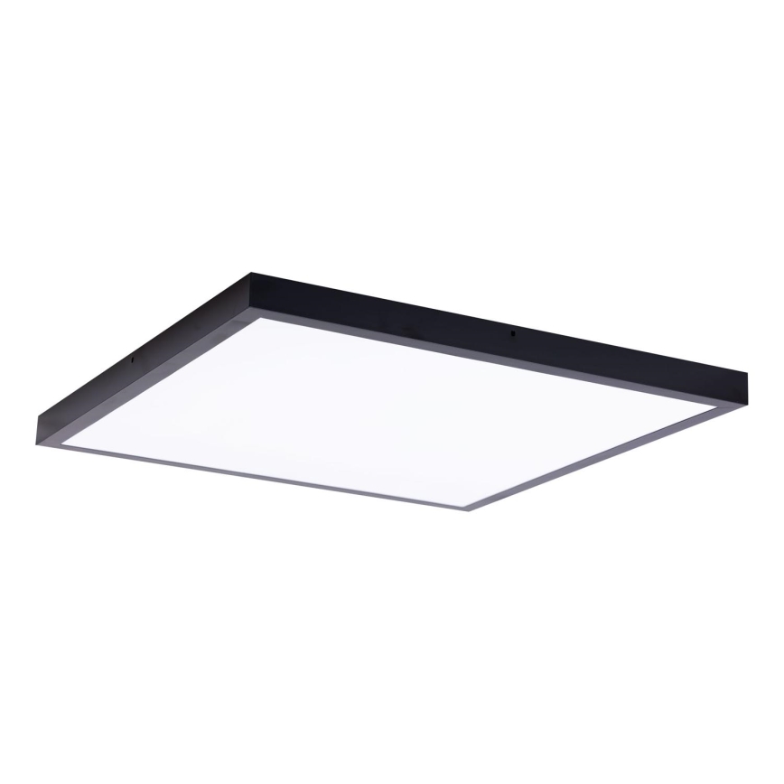 LED Panel LED/60W/230V 4000K 60x60 cm črna