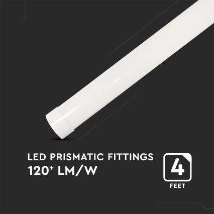 LED Podelementna svetilka LED/40W/230V 6500K 116 cm