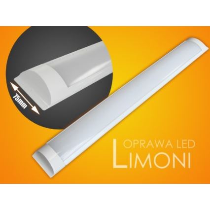 LED Podelementna svetilka LIMONI LED/40W/230V 3000K 120 cm