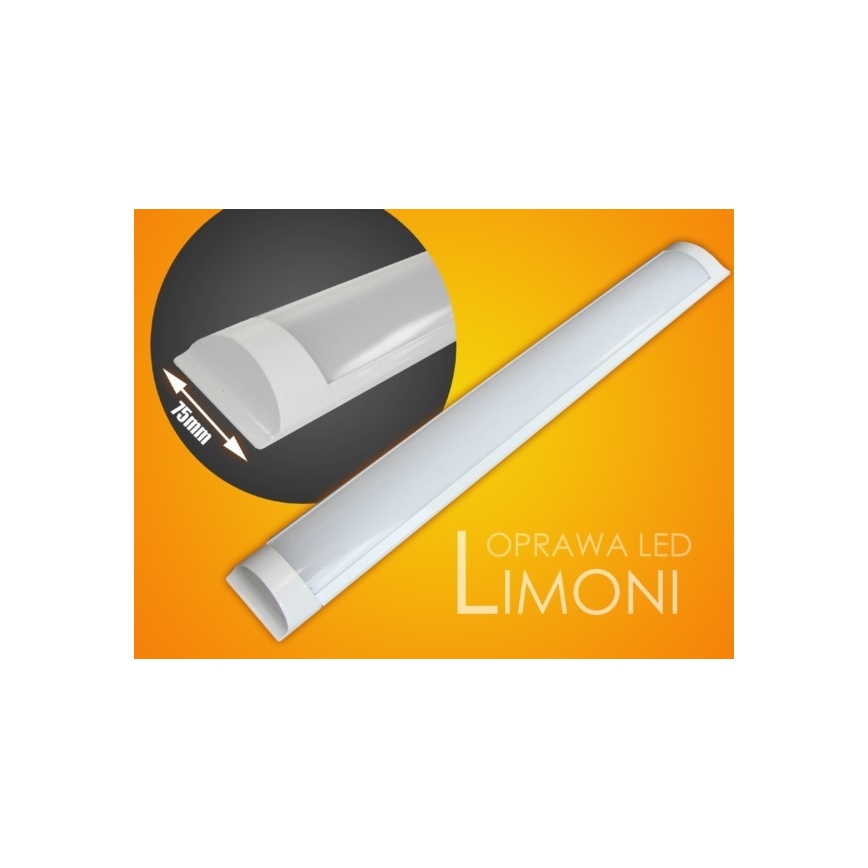LED Podelementna svetilka LIMONI LED/40W/230V 3000K 120 cm