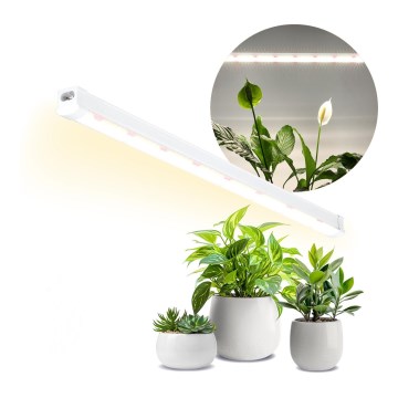 LED Podelementna svetilka za gojenje rastlin GROWLY LED/15W/230W