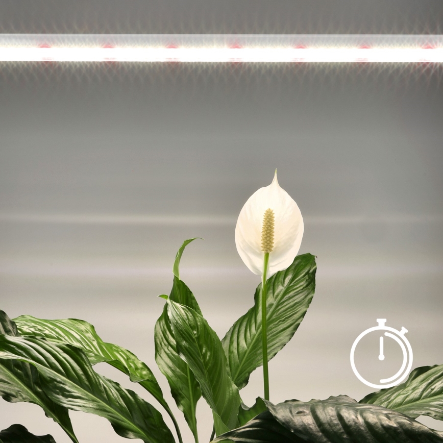 LED Podelementna svetilka za gojenje rastlin GROWLY LED/15W/230W