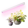 LED podsvetljava za gojenje rastlin GROWLY LED/9W/230V bela