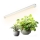 LED podsvetljava za gojenje rastlin GROWLY LED/9W/230V bela
